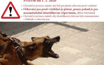 Povinnost čipovat psa od 1.1.2020
