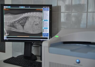 Veterinární klinika OK-VET